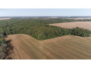 White & Hamilton Counties, Illinois Farmland - ILLINOIS REAL ESTATE AUCTION - 1,720+/- ACRES OFFERED IN 38 TRACTS IN WHITE & HAMILTON COUNTIES, ILLINOIS