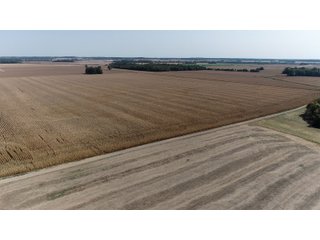White & Hamilton Counties, Illinois Farmland - ILLINOIS REAL ESTATE AUCTION - 1,720+/- ACRES OFFERED IN 38 TRACTS IN WHITE & HAMILTON COUNTIES, ILLINOIS