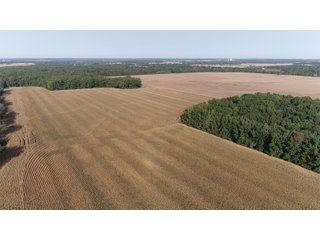White & Hamilton Counties, Illinois Farmland - ILLINOIS REAL ESTATE AUCTION - 1,720+/- ACRES OFFERED IN 38 TRACTS IN WHITE & HAMILTON COUNTIES, ILLINOIS
