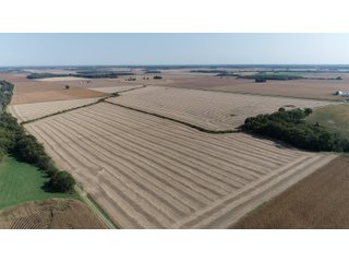 White & Hamilton Counties, Illinois Farmland - ILLINOIS REAL ESTATE AUCTION - 1,720+/- ACRES OFFERED IN 38 TRACTS IN WHITE & HAMILTON COUNTIES, ILLINOIS