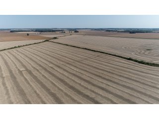 White & Hamilton Counties, Illinois Farmland - ILLINOIS REAL ESTATE AUCTION - 1,720+/- ACRES OFFERED IN 38 TRACTS IN WHITE & HAMILTON COUNTIES, ILLINOIS