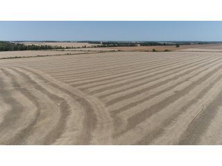 White & Hamilton Counties, Illinois Farmland - ILLINOIS REAL ESTATE AUCTION - 1,720+/- ACRES OFFERED IN 38 TRACTS IN WHITE & HAMILTON COUNTIES, ILLINOIS