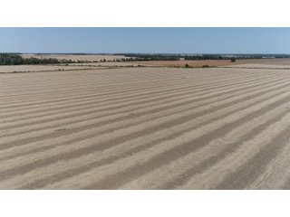 White & Hamilton Counties, Illinois Farmland - ILLINOIS REAL ESTATE AUCTION - 1,720+/- ACRES OFFERED IN 38 TRACTS IN WHITE & HAMILTON COUNTIES, ILLINOIS