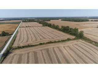White & Hamilton Counties, Illinois Farmland - ILLINOIS REAL ESTATE AUCTION - 1,720+/- ACRES OFFERED IN 38 TRACTS IN WHITE & HAMILTON COUNTIES, ILLINOIS