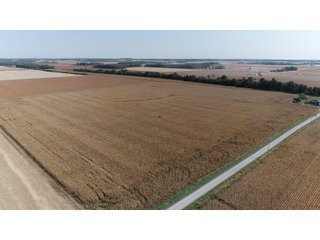 White & Hamilton Counties, Illinois Farmland - ILLINOIS REAL ESTATE AUCTION - 1,720+/- ACRES OFFERED IN 38 TRACTS IN WHITE & HAMILTON COUNTIES, ILLINOIS