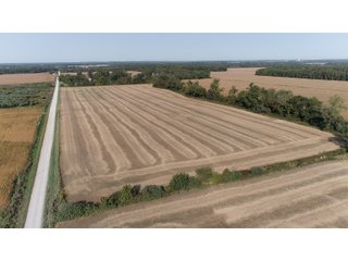 White & Hamilton Counties, Illinois Farmland - ILLINOIS REAL ESTATE AUCTION - 1,720+/- ACRES OFFERED IN 38 TRACTS IN WHITE & HAMILTON COUNTIES, ILLINOIS