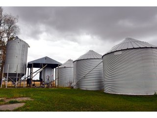 Tract 8 in Steuben County, Indiana - PRODUCTIVE FARMLAND AUCTION - 334.5+/- ACRES OFFERED IN 8 TRACTS OR COMBINATIONS IN STEUBEN COUNTY, INDIANA