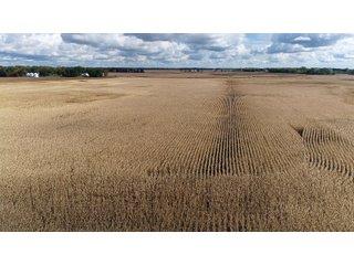 Steuben County, Indiana Farmland - PRODUCTIVE FARMLAND AUCTION - 334.5+/- ACRES OFFERED IN 8 TRACTS OR COMBINATIONS IN STEUBEN COUNTY, INDIANA