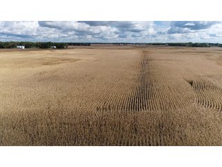 Steuben County, Indiana Farmland - PRODUCTIVE FARMLAND AUCTION - 334.5+/- ACRES OFFERED IN 8 TRACTS OR COMBINATIONS IN STEUBEN COUNTY, INDIANA