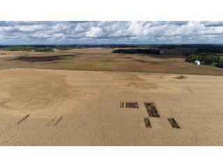 Steuben County, Indiana Farmland - PRODUCTIVE FARMLAND AUCTION - 334.5+/- ACRES OFFERED IN 8 TRACTS OR COMBINATIONS IN STEUBEN COUNTY, INDIANA