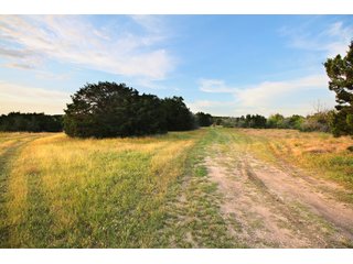 Bell County, Texas Farmland - SEALED BID AUCTION DEVELOPMENT LAND BUYER OPPORTUNITY - 39+/- ACRES OFFERED IN 7 TRACTS IN KILLEEN, TEXAS