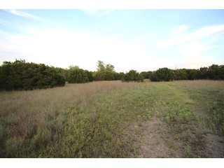 Bell County, Texas Farmland - SEALED BID AUCTION DEVELOPMENT LAND BUYER OPPORTUNITY - 39+/- ACRES OFFERED IN 7 TRACTS IN KILLEEN, TEXAS