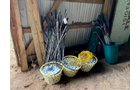 Property photo 82 - VIRTUAL ONLINE NOW - GOLF COURSE, MINIATURE GOLF & EXCAVATING EQUIPMENT AUCTION IN STEUBEN COUNTY, INDIANA