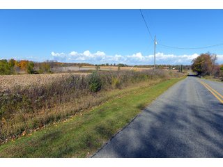Kalamazoo County, Michigan Farmland - VIRTUAL LAND AUCTION - 275+/- ACRES OFFERED IN 6 TRACTS OR COMBINATIONS IN KALAMAZOO COUNTY, MICHIGAN