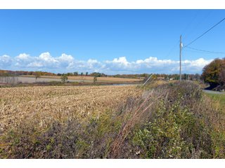 Kalamazoo County, Michigan Farmland - VIRTUAL LAND AUCTION - 275+/- ACRES OFFERED IN 6 TRACTS OR COMBINATIONS IN KALAMAZOO COUNTY, MICHIGAN
