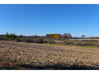 Kalamazoo County, Michigan Farmland - VIRTUAL LAND AUCTION - 275+/- ACRES OFFERED IN 6 TRACTS OR COMBINATIONS IN KALAMAZOO COUNTY, MICHIGAN