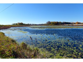 Kalamazoo County, Michigan Farmland - VIRTUAL LAND AUCTION - 275+/- ACRES OFFERED IN 6 TRACTS OR COMBINATIONS IN KALAMAZOO COUNTY, MICHIGAN
