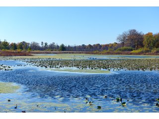Kalamazoo County, Michigan Farmland - VIRTUAL LAND AUCTION - 275+/- ACRES OFFERED IN 6 TRACTS OR COMBINATIONS IN KALAMAZOO COUNTY, MICHIGAN