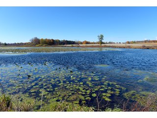 Kalamazoo County, Michigan Farmland - VIRTUAL LAND AUCTION - 275+/- ACRES OFFERED IN 6 TRACTS OR COMBINATIONS IN KALAMAZOO COUNTY, MICHIGAN