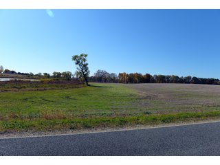 Kalamazoo County, Michigan Farmland - VIRTUAL LAND AUCTION - 275+/- ACRES OFFERED IN 6 TRACTS OR COMBINATIONS IN KALAMAZOO COUNTY, MICHIGAN