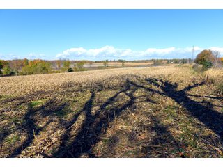 Kalamazoo County, Michigan Farmland - VIRTUAL LAND AUCTION - 275+/- ACRES OFFERED IN 6 TRACTS OR COMBINATIONS IN KALAMAZOO COUNTY, MICHIGAN