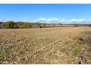 Kalamazoo County, Michigan Farmland - VIRTUAL LAND AUCTION - 275+/- ACRES OFFERED IN 6 TRACTS OR COMBINATIONS IN KALAMAZOO COUNTY, MICHIGAN
