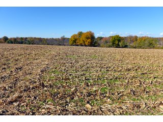 Kalamazoo County, Michigan Farmland - VIRTUAL LAND AUCTION - 275+/- ACRES OFFERED IN 6 TRACTS OR COMBINATIONS IN KALAMAZOO COUNTY, MICHIGAN