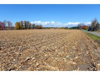Kalamazoo County, Michigan Farmland - VIRTUAL LAND AUCTION - 275+/- ACRES OFFERED IN 6 TRACTS OR COMBINATIONS IN KALAMAZOO COUNTY, MICHIGAN