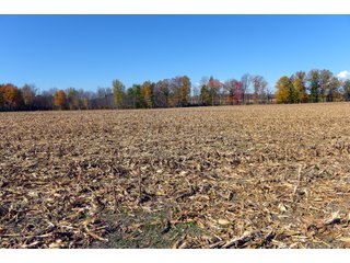 Kalamazoo County, Michigan Farmland - VIRTUAL LAND AUCTION - 275+/- ACRES OFFERED IN 6 TRACTS OR COMBINATIONS IN KALAMAZOO COUNTY, MICHIGAN