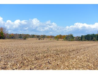 Kalamazoo County, Michigan Farmland - VIRTUAL LAND AUCTION - 275+/- ACRES OFFERED IN 6 TRACTS OR COMBINATIONS IN KALAMAZOO COUNTY, MICHIGAN