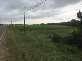 Kalamazoo County, Michigan Farmland - VIRTUAL LAND AUCTION - 275+/- ACRES OFFERED IN 6 TRACTS OR COMBINATIONS IN KALAMAZOO COUNTY, MICHIGAN