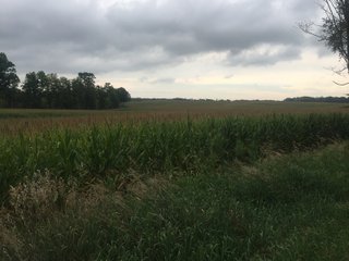 Kalamazoo County, Michigan Farmland - VIRTUAL LAND AUCTION - 275+/- ACRES OFFERED IN 6 TRACTS OR COMBINATIONS IN KALAMAZOO COUNTY, MICHIGAN
