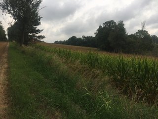 Kalamazoo County, Michigan Farmland - VIRTUAL LAND AUCTION - 275+/- ACRES OFFERED IN 6 TRACTS OR COMBINATIONS IN KALAMAZOO COUNTY, MICHIGAN