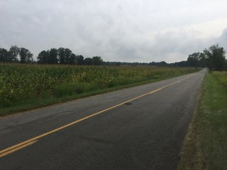 Kalamazoo County, Michigan Farmland - VIRTUAL LAND AUCTION - 275+/- ACRES OFFERED IN 6 TRACTS OR COMBINATIONS IN KALAMAZOO COUNTY, MICHIGAN