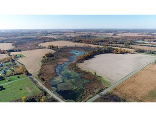 Kalamazoo County, Michigan Farmland - VIRTUAL LAND AUCTION - 275+/- ACRES OFFERED IN 6 TRACTS OR COMBINATIONS IN KALAMAZOO COUNTY, MICHIGAN