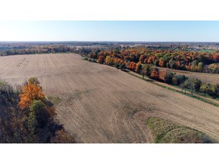 Kalamazoo County, Michigan Farmland - VIRTUAL LAND AUCTION - 275+/- ACRES OFFERED IN 6 TRACTS OR COMBINATIONS IN KALAMAZOO COUNTY, MICHIGAN