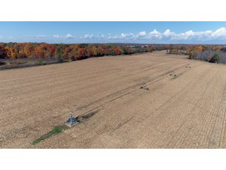 Kalamazoo County, Michigan Farmland - VIRTUAL LAND AUCTION - 275+/- ACRES OFFERED IN 6 TRACTS OR COMBINATIONS IN KALAMAZOO COUNTY, MICHIGAN