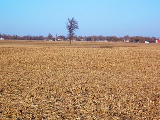 Allen County, Indiana Farmland - LAND AUCTION - 115+/- ACRES OFFERED IN 2 TRACTS IN ALLEN COUNTY, INDIANA