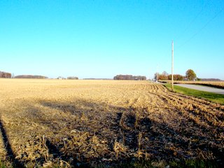 Allen County, Indiana Farmland - LAND AUCTION - 115+/- ACRES OFFERED IN 2 TRACTS IN ALLEN COUNTY, INDIANA