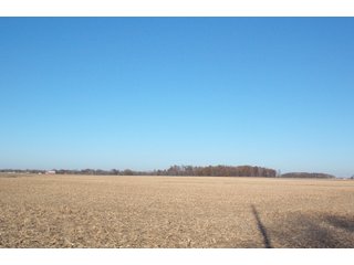 Allen County, Indiana Farmland - LAND AUCTION - 115+/- ACRES OFFERED IN 2 TRACTS IN ALLEN COUNTY, INDIANA