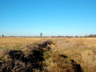 Allen County, Indiana Farmland - LAND AUCTION - 115+/- ACRES OFFERED IN 2 TRACTS IN ALLEN COUNTY, INDIANA