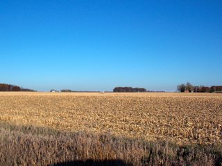 Allen County, Indiana Farmland - LAND AUCTION - 115+/- ACRES OFFERED IN 2 TRACTS IN ALLEN COUNTY, INDIANA