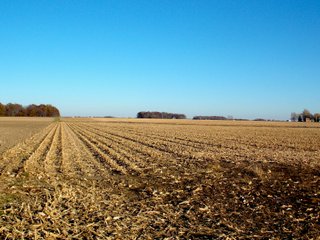 Allen County, Indiana Farmland - LAND AUCTION - 115+/- ACRES OFFERED IN 2 TRACTS IN ALLEN COUNTY, INDIANA