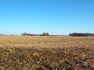 Allen County, Indiana Farmland - LAND AUCTION - 115+/- ACRES OFFERED IN 2 TRACTS IN ALLEN COUNTY, INDIANA