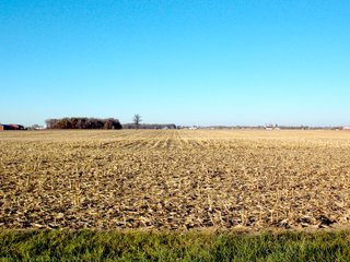 Allen County, Indiana Farmland - LAND AUCTION - 115+/- ACRES OFFERED IN 2 TRACTS IN ALLEN COUNTY, INDIANA