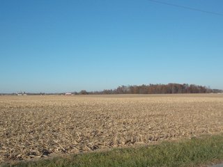 Allen County, Indiana Farmland - LAND AUCTION - 115+/- ACRES OFFERED IN 2 TRACTS IN ALLEN COUNTY, INDIANA