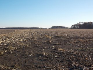 Allen County, Indiana Farmland - LAND AUCTION - 115+/- ACRES OFFERED IN 2 TRACTS IN ALLEN COUNTY, INDIANA