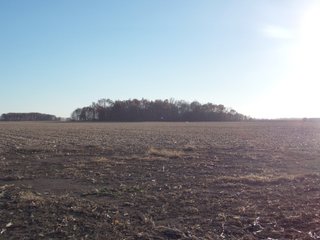 Allen County, Indiana Farmland - LAND AUCTION - 115+/- ACRES OFFERED IN 2 TRACTS IN ALLEN COUNTY, INDIANA