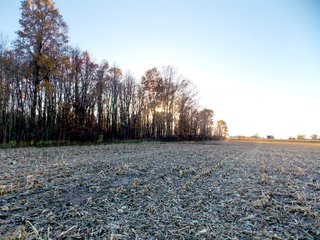 Allen County, Indiana Farmland - LAND AUCTION - 115+/- ACRES OFFERED IN 2 TRACTS IN ALLEN COUNTY, INDIANA