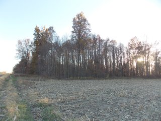 Allen County, Indiana Farmland - LAND AUCTION - 115+/- ACRES OFFERED IN 2 TRACTS IN ALLEN COUNTY, INDIANA